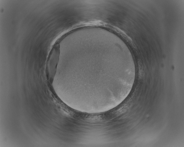 X0000072971174200608211314