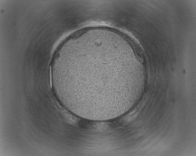 X0000072971175200608211314