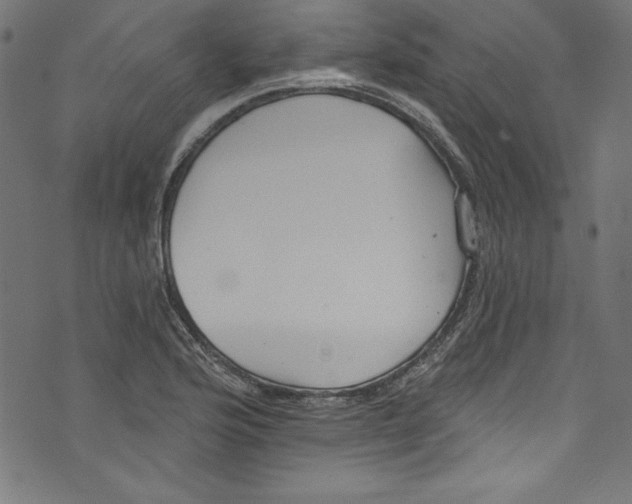 X0000072971176200608211314