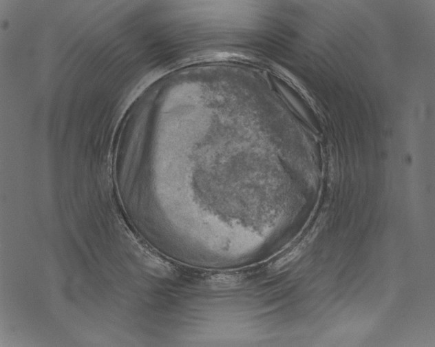 X0000072971178200608211314