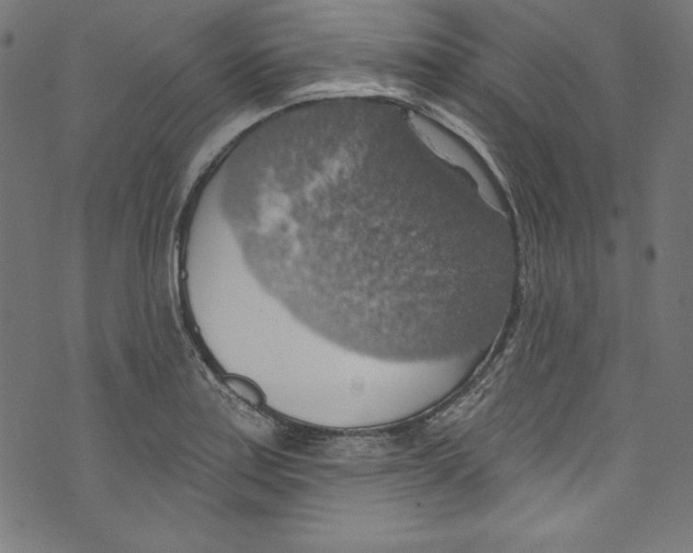 X0000072971179200608211314