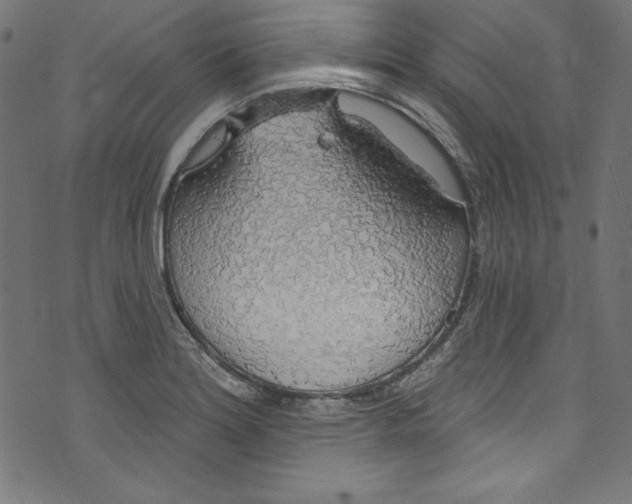 X0000072971180200608211314