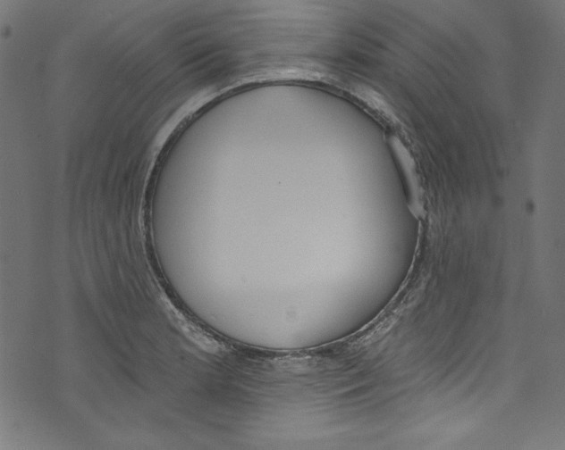 X0000072971181200608211314