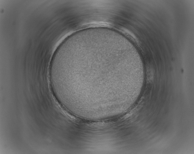 X0000072971182200608211314