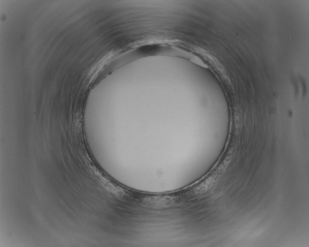 X0000072971185200608211314