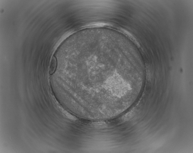 X0000072971186200608211314