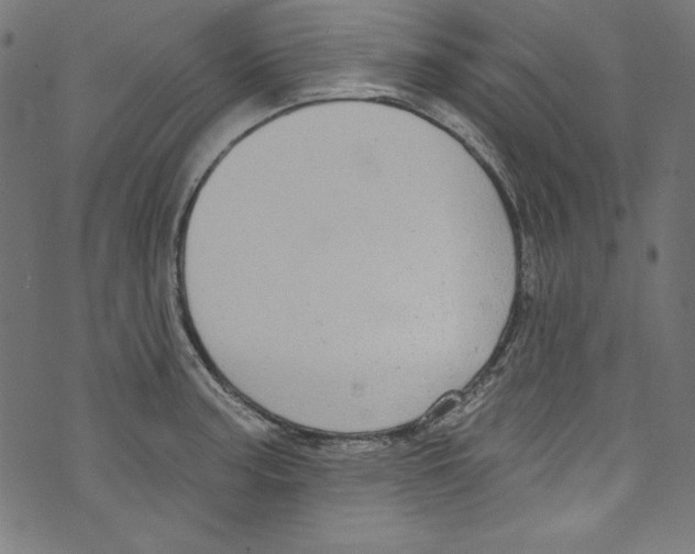 X0000072971187200608211314