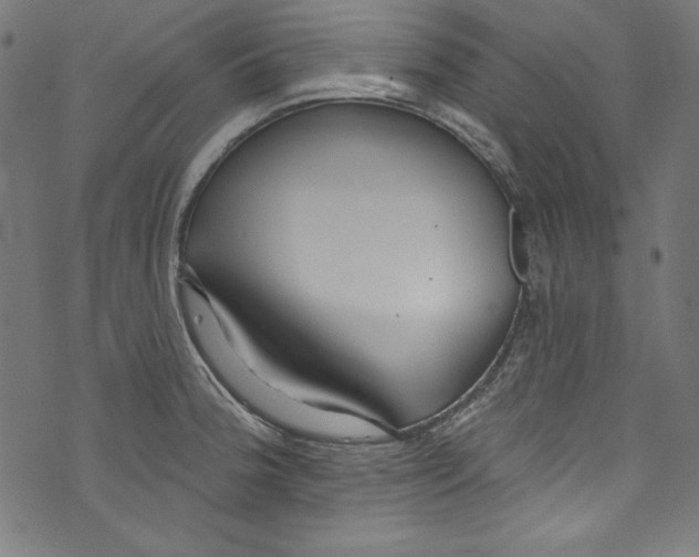 X0000072971188200608211314