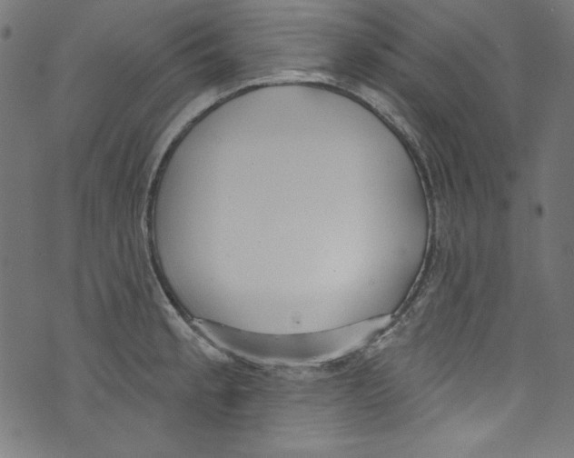 X0000072971189200608211314