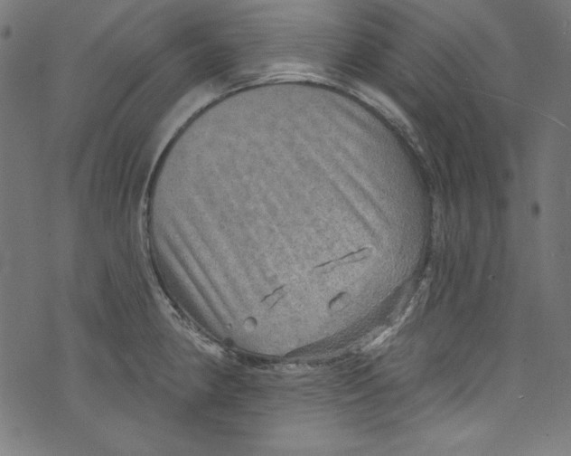 X0000072971190200608211314