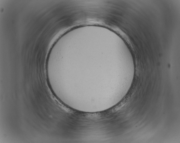 X0000072971191200608211314