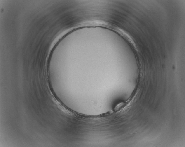 X0000072971192200608211314