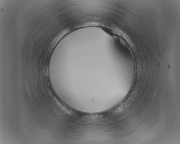 X0000072971193200608211314