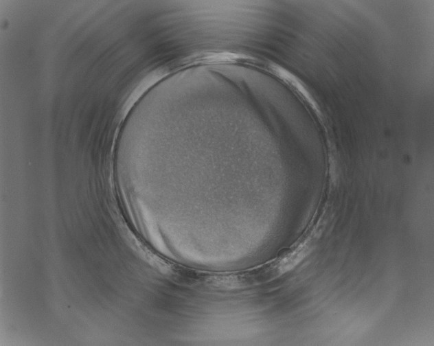 X0000072971194200608211314