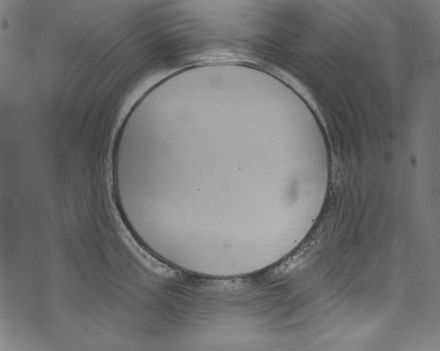 X0000072971195200608211314