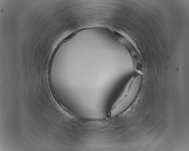 X0000072971197200608211314