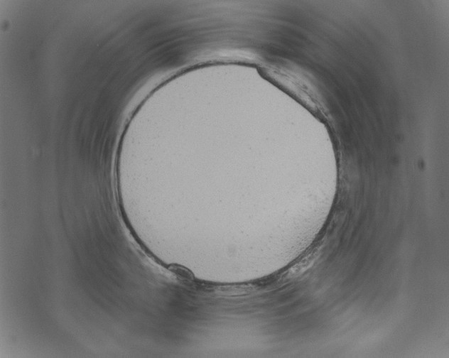 X0000072971199200608211314