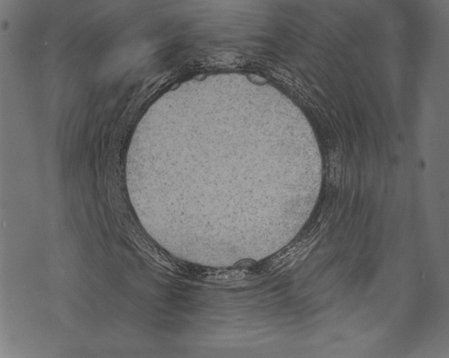 X0000072971201200608211313