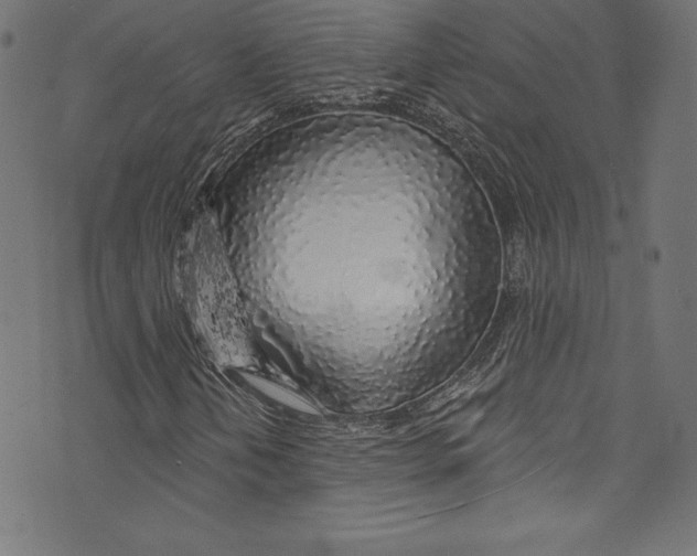 X0000072971202200608211313