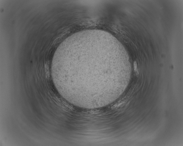 X0000072971203200608211313