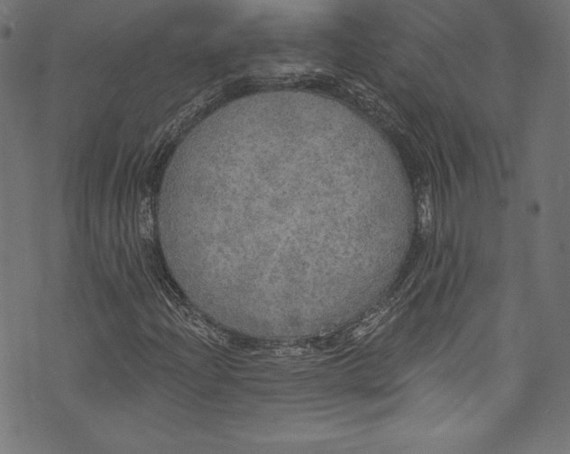 X0000072971204200608211313