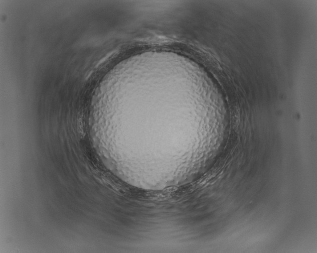 X0000072971205200608211313