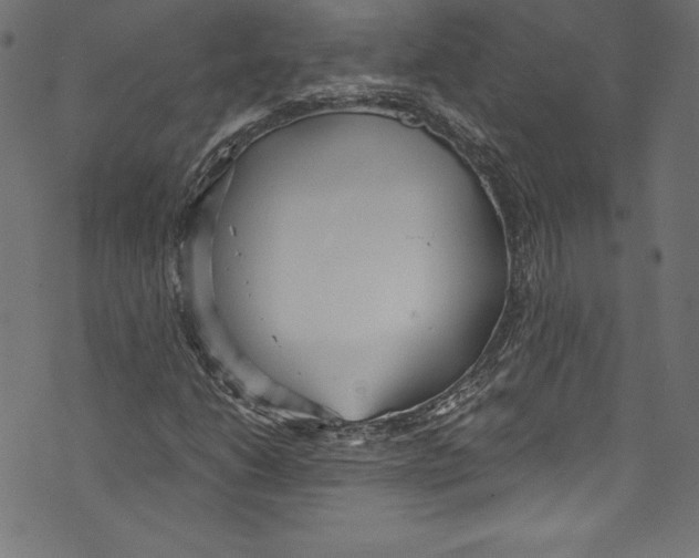 X0000072971206200608211313