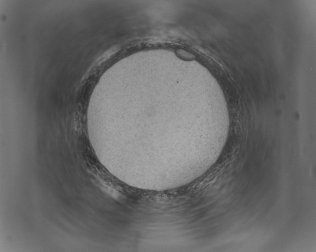 X0000072971207200608211313