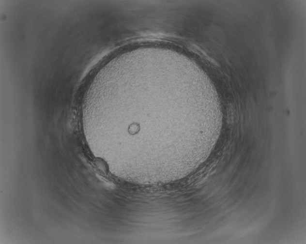 X0000072971208200608211313