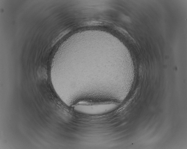 X0000072971209200608211313