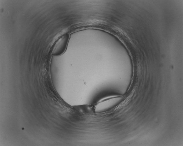 X0000072971210200608211313