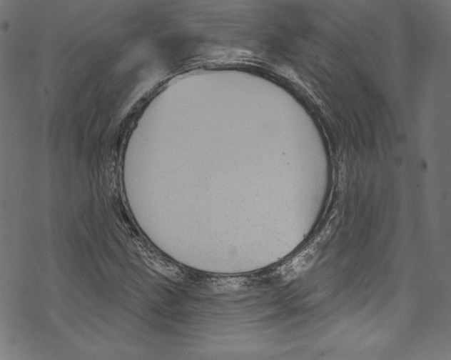 X0000072971211200608211313