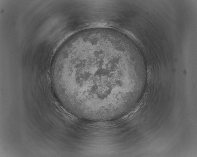 X0000072971212200608211313