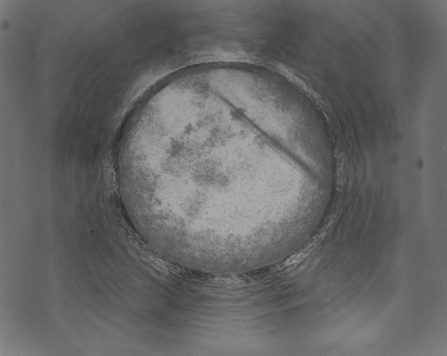 X0000072971215200608211313