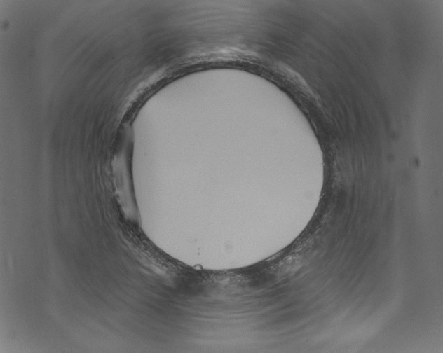 X0000072971218200608211313