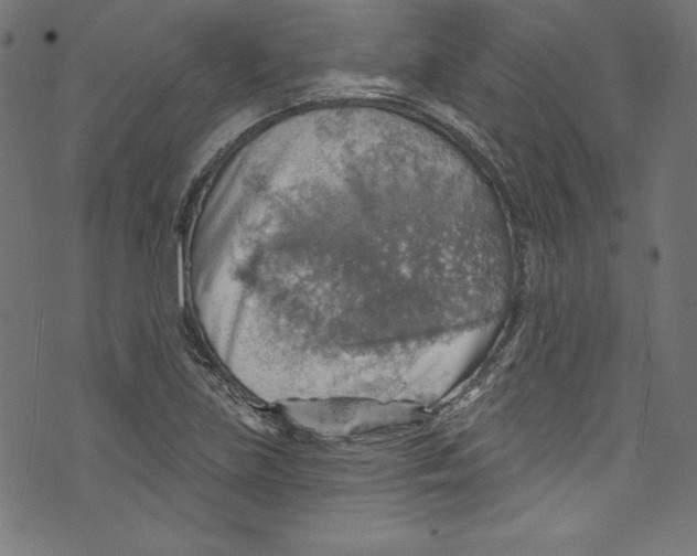 X0000072971219200608211313