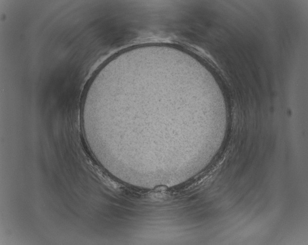 X0000072971220200608211313