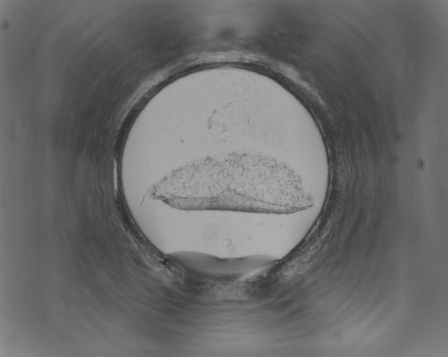 X0000072971221200608211313