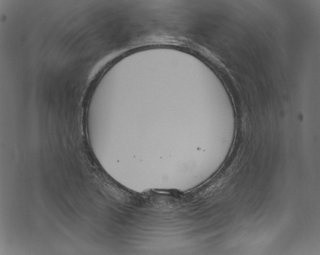 X0000072971222200608211313