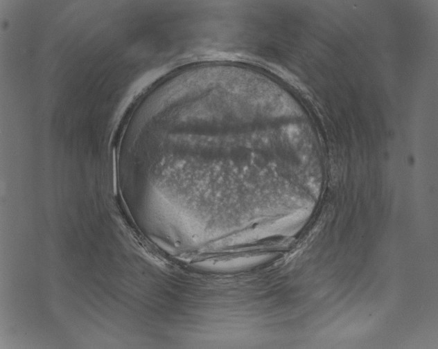 X0000072971223200608211313