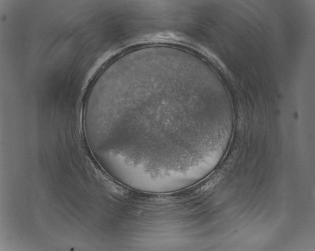 X0000072971224200608211313