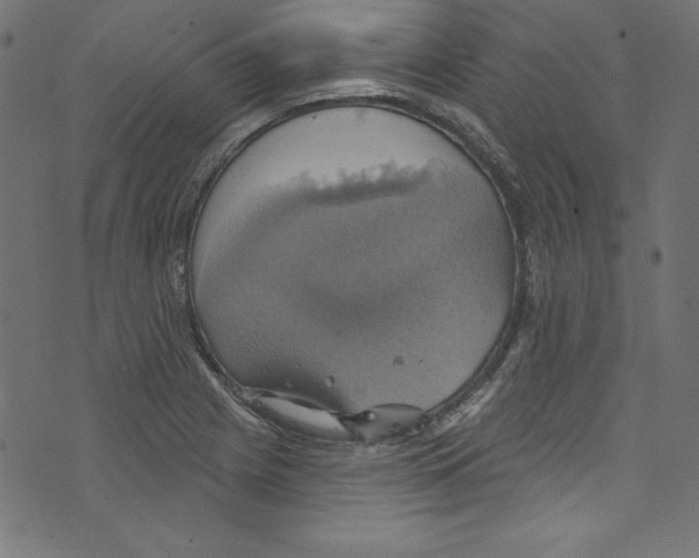 X0000072971225200608211313