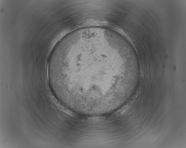 X0000072971227200608211313