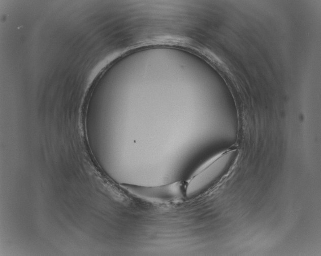 X0000072971230200608211314