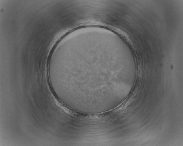 X0000072971231200608211314