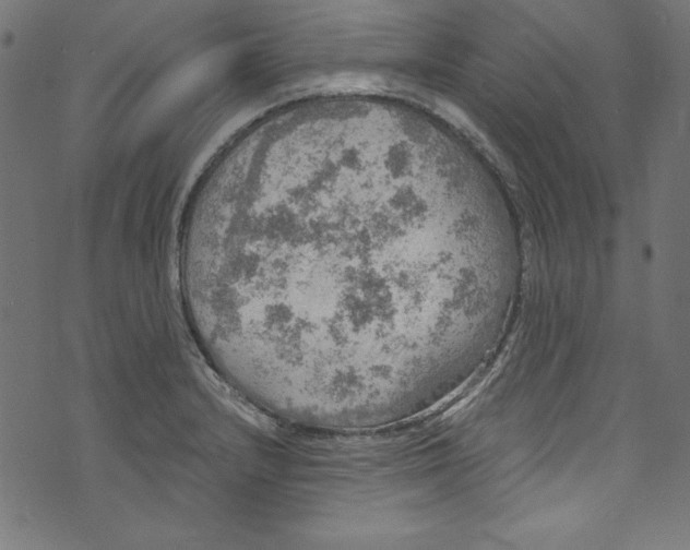 X0000072971232200608211314