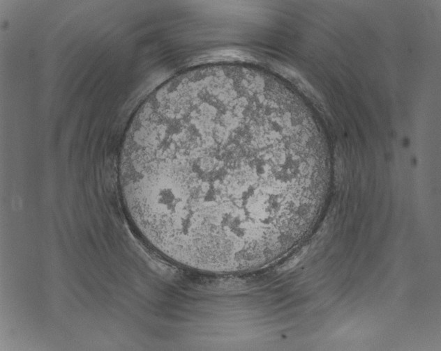 X0000072971233200608211314