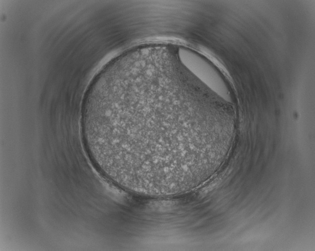 X0000072971237200608211314