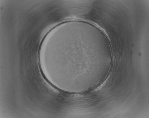 X0000072971239200608211314