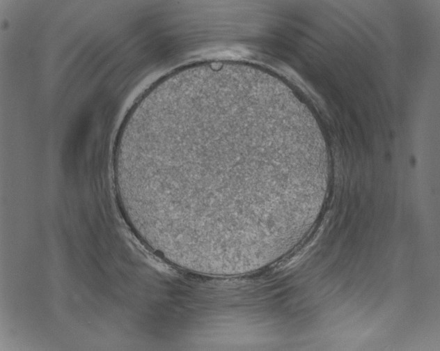 X0000072971240200608211314